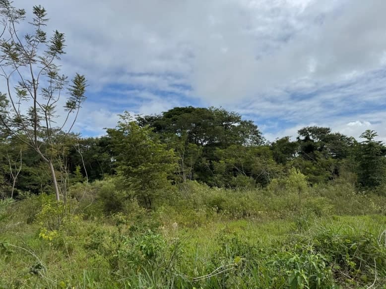 Terreno 2,5 ha en Yataity del Norte – Ideal para Agricultura – 3
