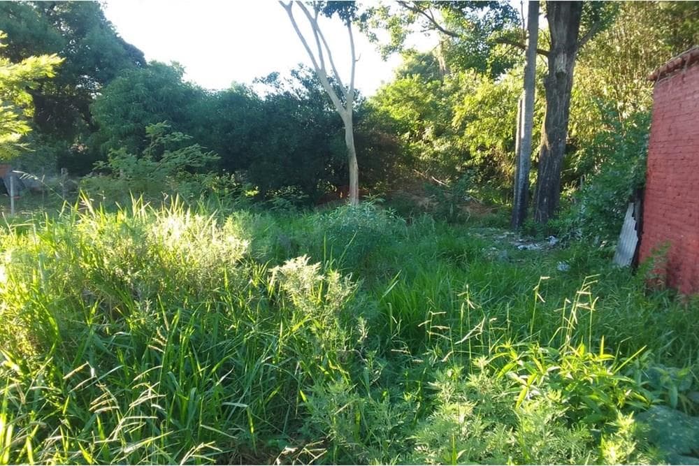 VENDO TERRENO EN SAN LORENZO, 384M2 – 3