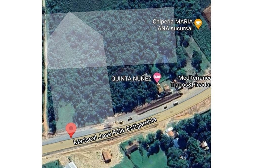 EN VENTA 8 HECTAREAS SOBRE RUTA 2 EN EUSEBIO AYALA – 2