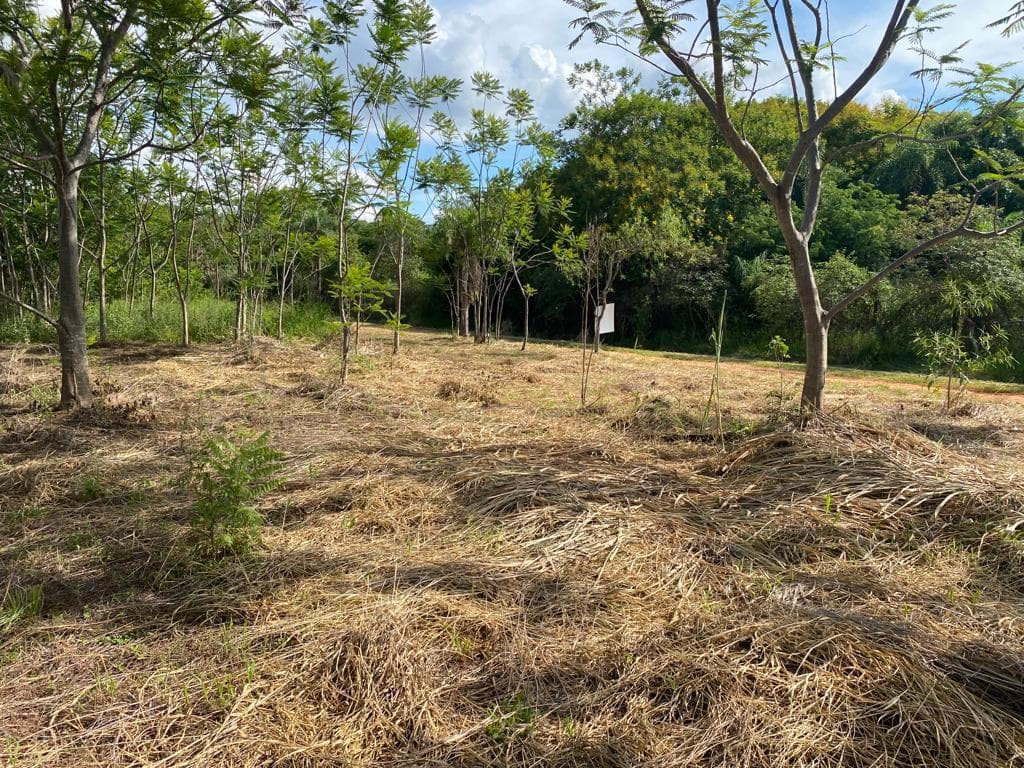 Vendo Terrenos en Surubi i, Mariano Roque Alonso-CLHO4946688