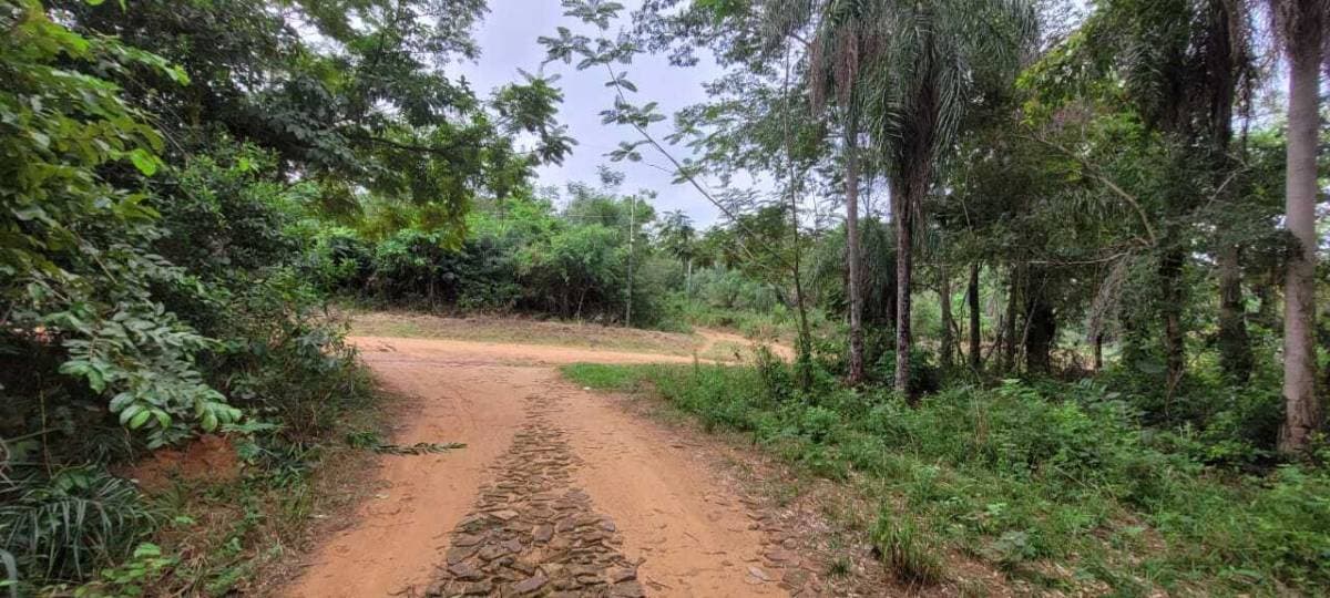 Terreno en San Bernardino zona Ciervo Cua – 2