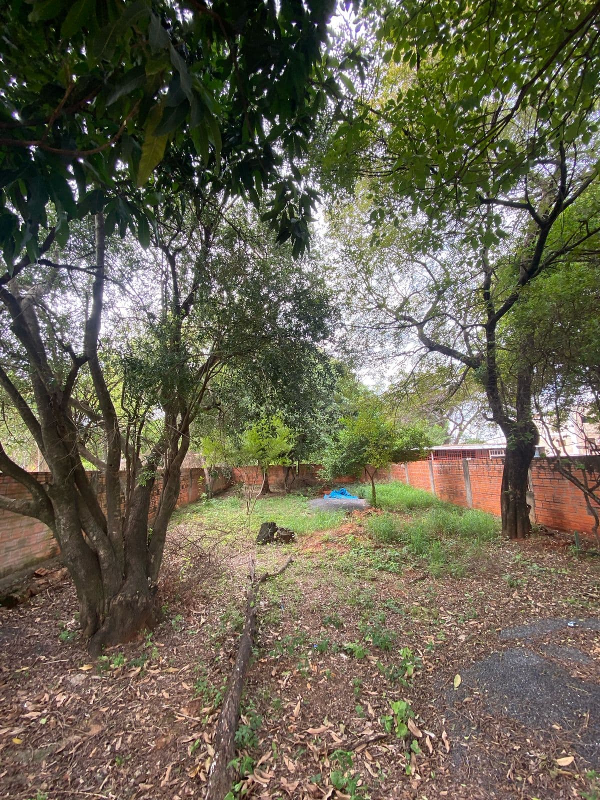 Terreno En Luque - Zona Motos Taiga - Laurelty – 2