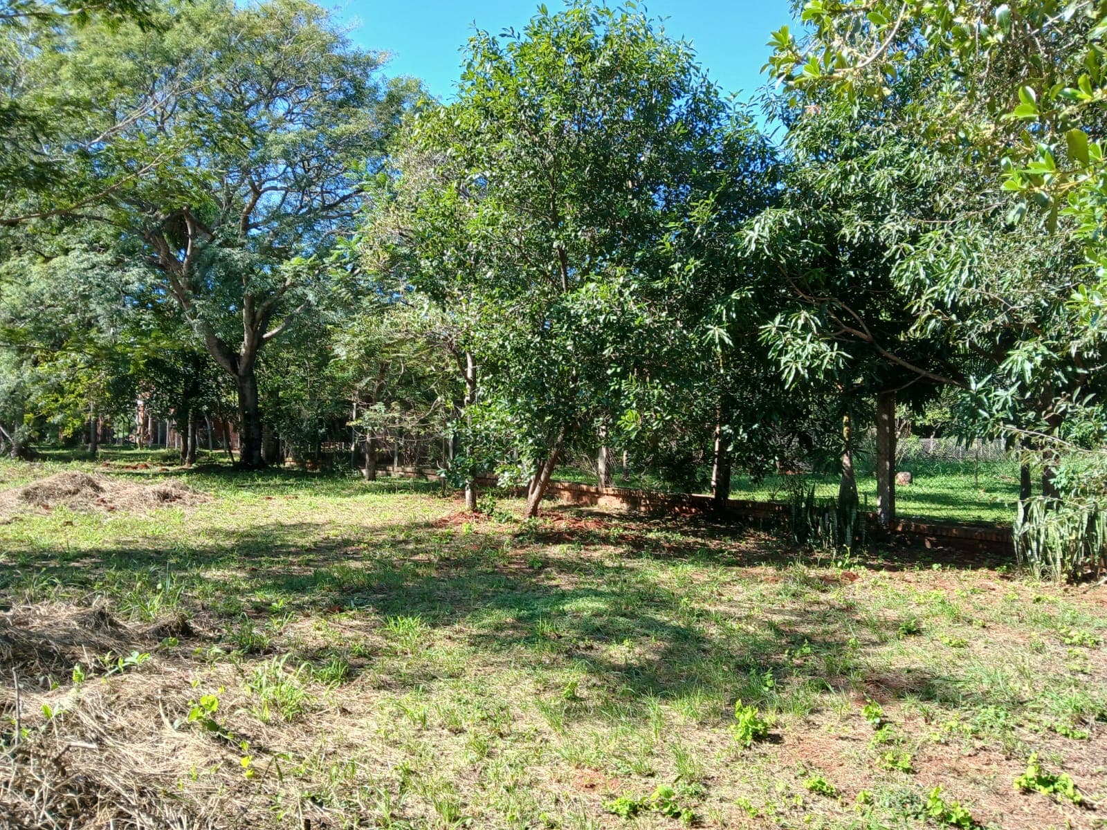 AMPLIO TERRENO EN VENTA – LUQUE, BARRIO MORA CUE – 2
