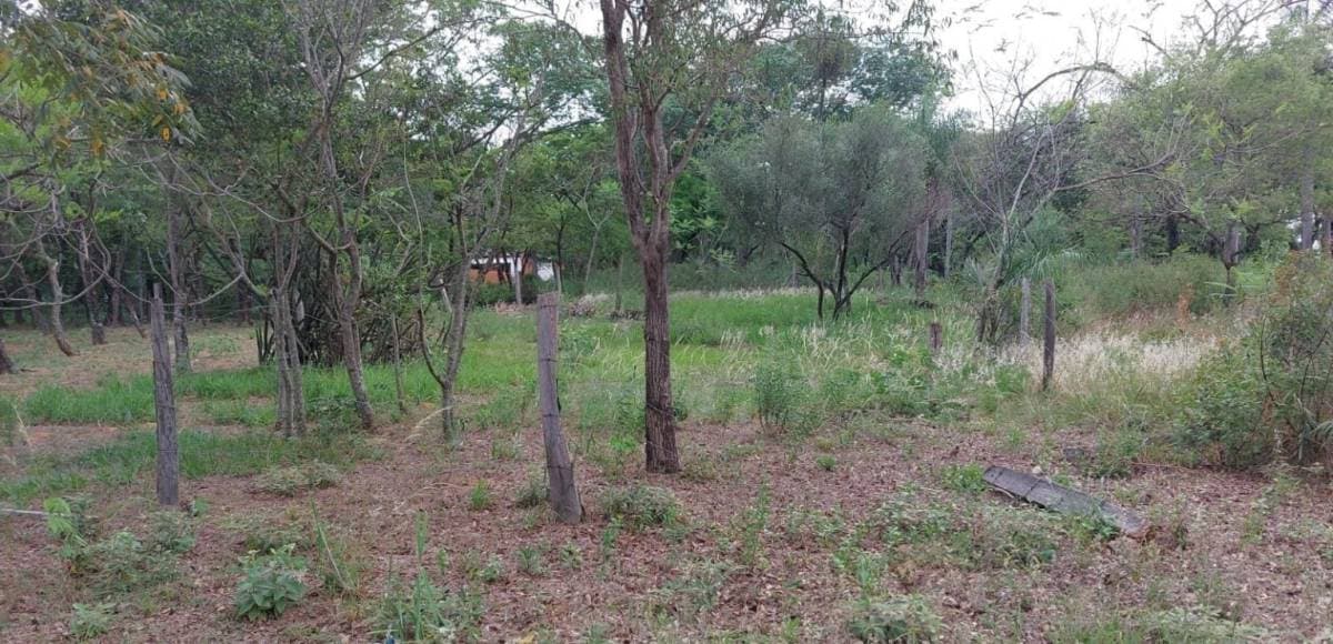 Vendo Terreno San Bernardino, Zona Ciervo Cua.