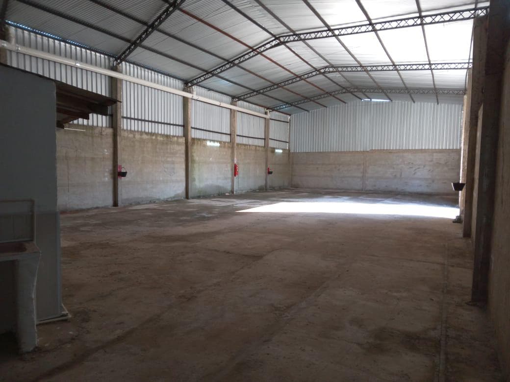 ALQUILER DE TINGLADO ZONA SAN LORENZO – 3