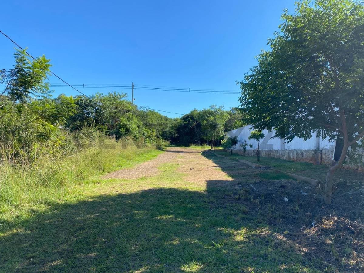 VENDO TERRENO DE 1.200 m2 EN SAN BERNARDINO – 3