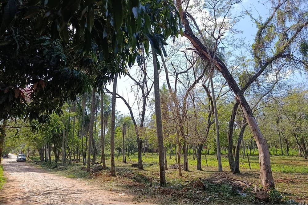Terreno - Venta - Itauguá, Paraguay – 2