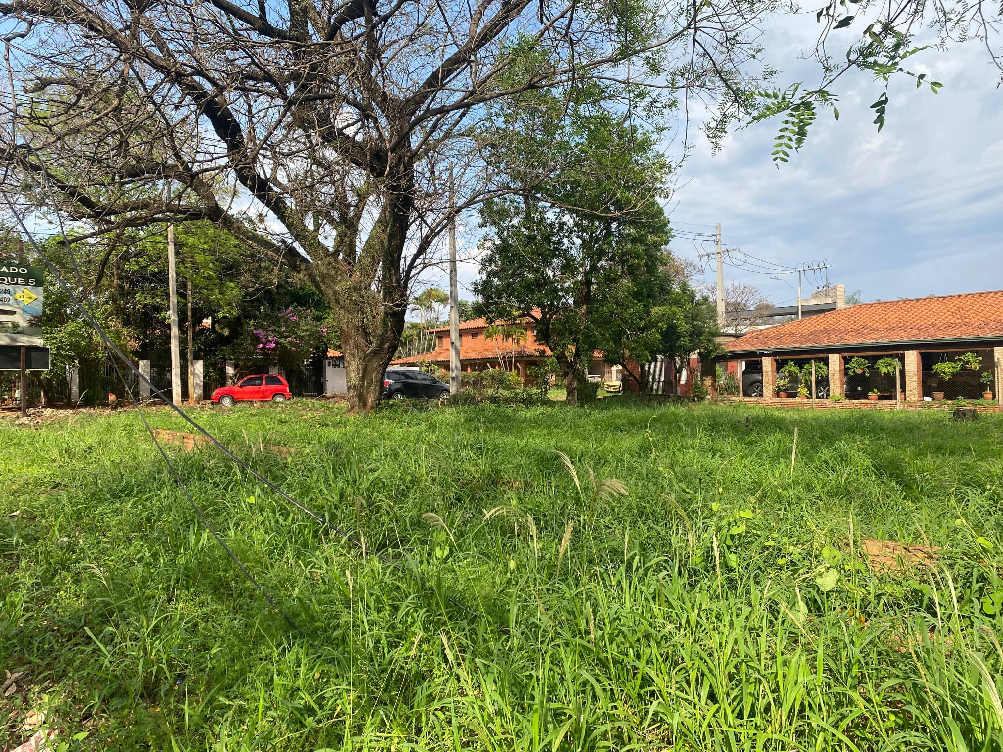 Alquilo Terreno en San Lorenzo ! – 3
