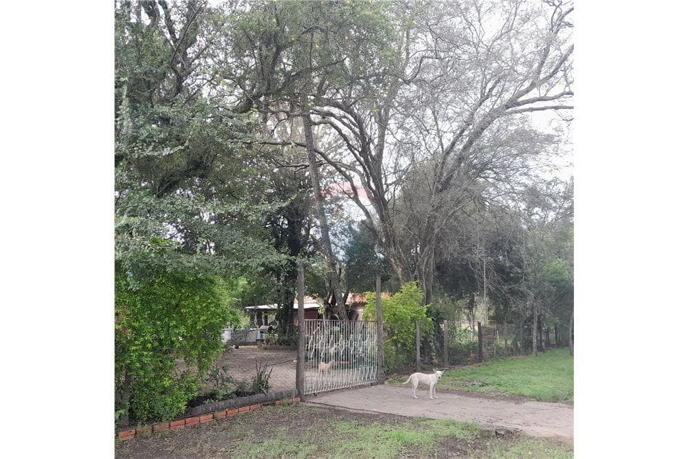 VENDO AMPLIO TERRENO EN VILLA HAYES ZONA CHACO'I – 3