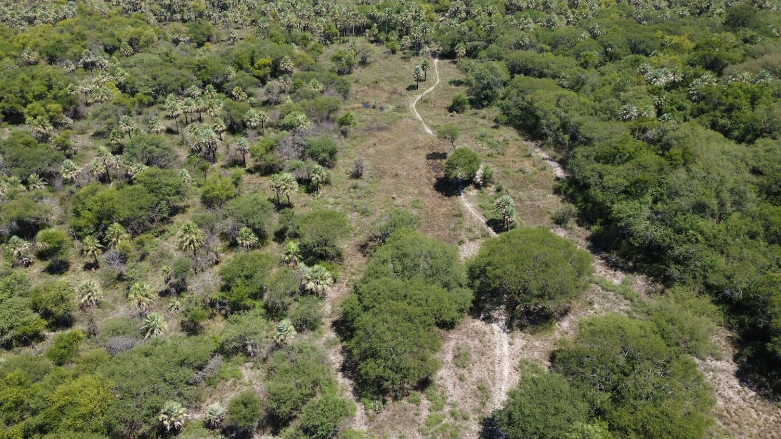 Vendo Estancia Ganadera de 2,895 Hectáreas en Benjamín Aceval – 2