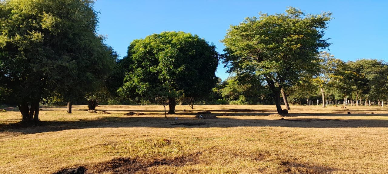 Amplio Terreno 3600 M2 Caacupe Especial Para Casa Quinta