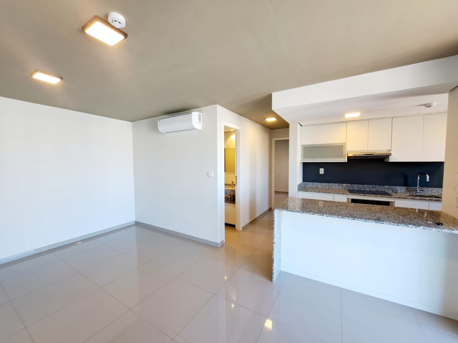 VENDO DEPARTAMENTO DE 2 HABITACIONES EN INSIGNIA 3insignia – 3