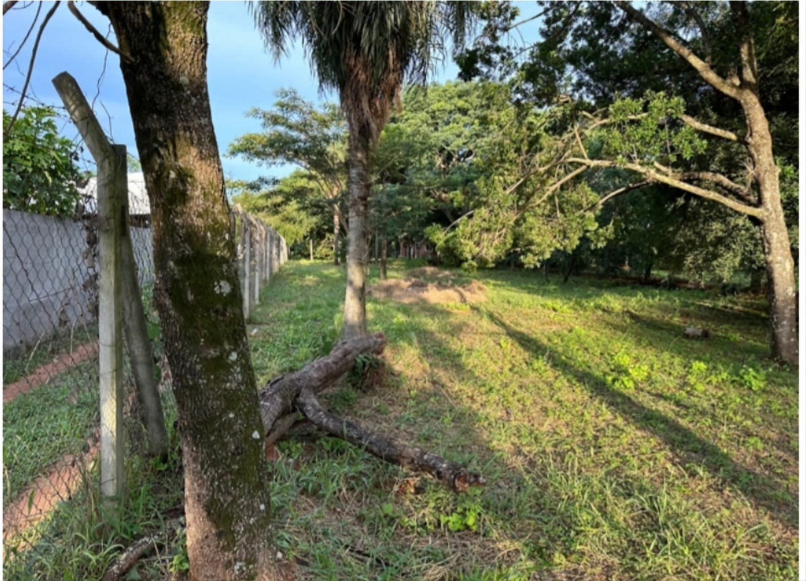 AMPLIO TERRENO EN VENTA – LUQUE, BARRIO MORA CUE – 3