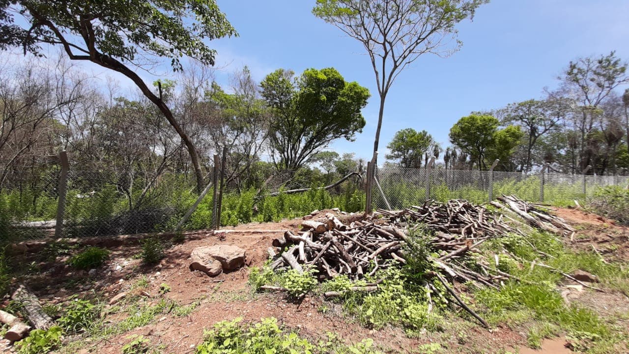 Terrenos en San Bernardino: Lotes de 1.300 m² – Zona Cristóbal Colón – 2