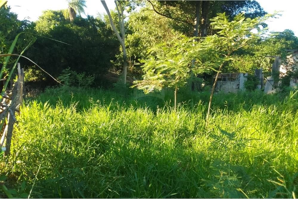 VENDO TERRENO EN SAN LORENZO, 384M2 – 2