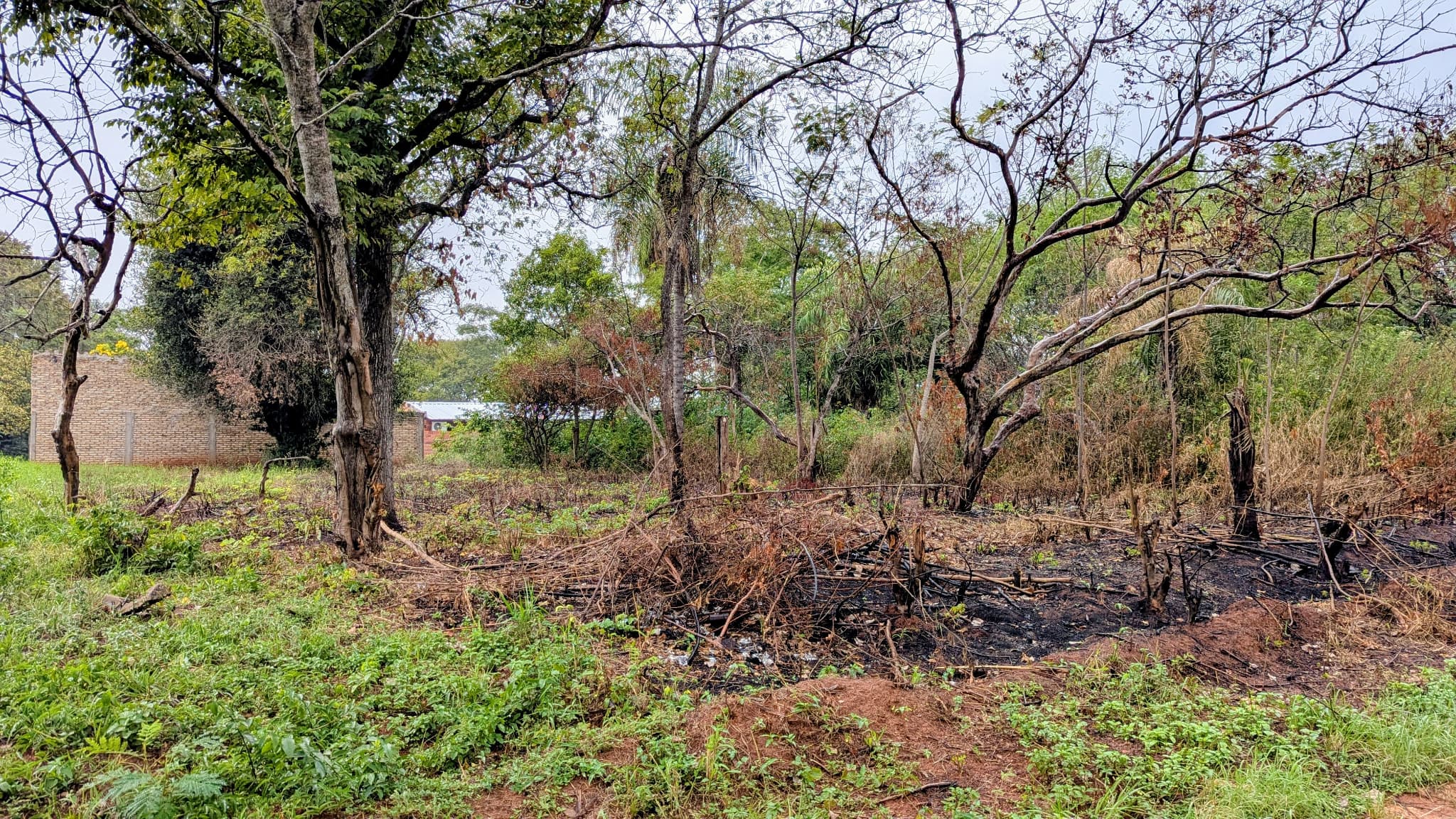 Vendo Terreno Detrás Del Vivero Pozo Azul - Luque