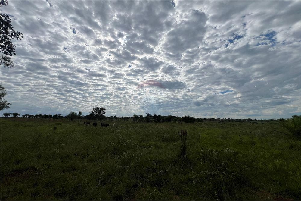 ESTANCIA DE 50 HECTAREAS EN PIRIBEBUY – 3