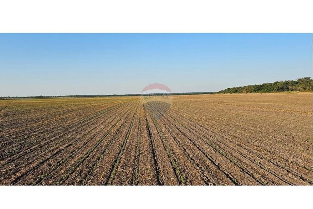 VENDO 600 HECTAREAS EN SAN PEDRO DEL PARANA – 3
