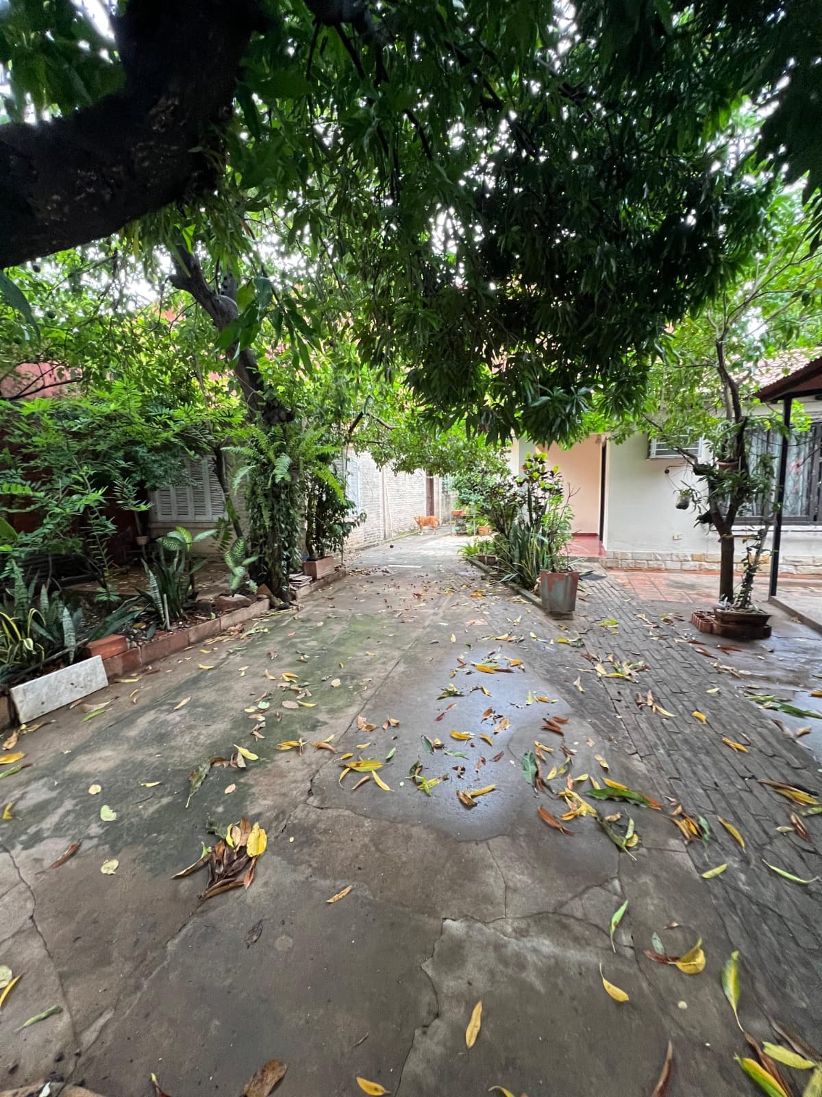 VENDO PROPIEDAD SOBRE JULIO CORREA, ZONA DE ALTO TRANSITO. – 3