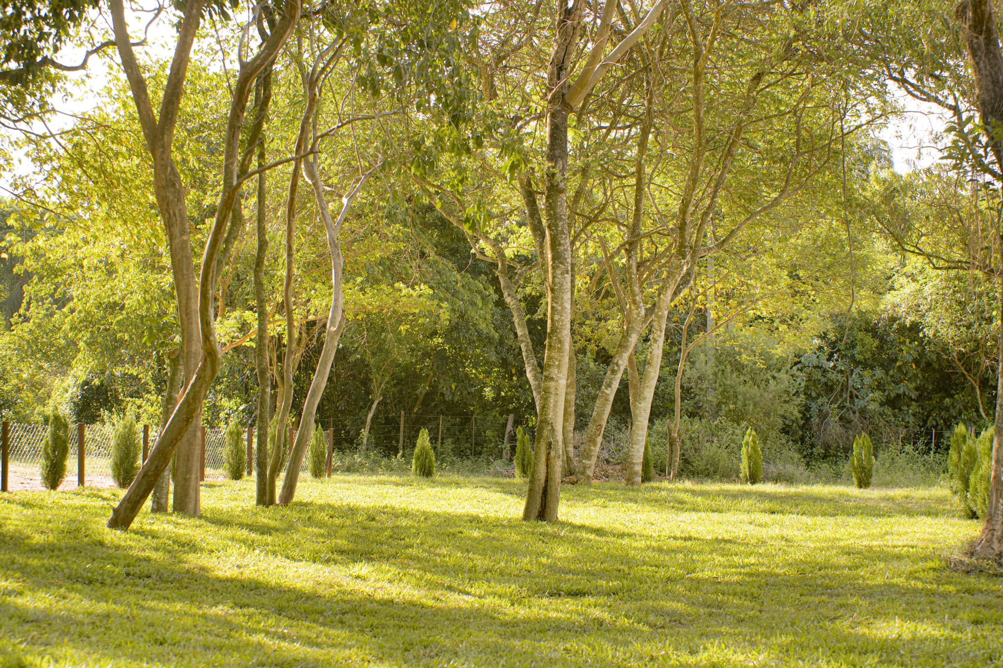 DESCANSAR EN MEDIO DE LA NATURALEZA ES POSIBLE! – 2