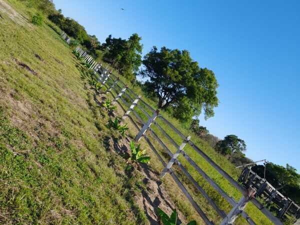 ¡Gran Oportunidad! Venta de Campo en Concepción, Paraguay ????