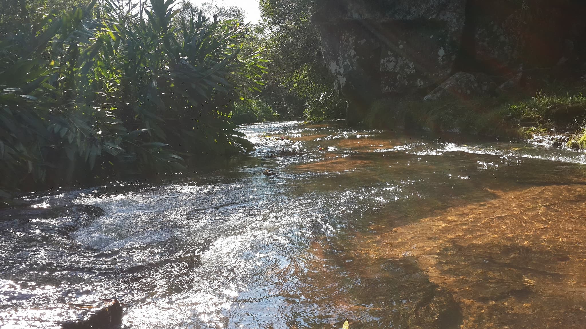 Vendo Propiedad De Imponentes Recursos Naturales En Dto De Coordillera De 232 Ha