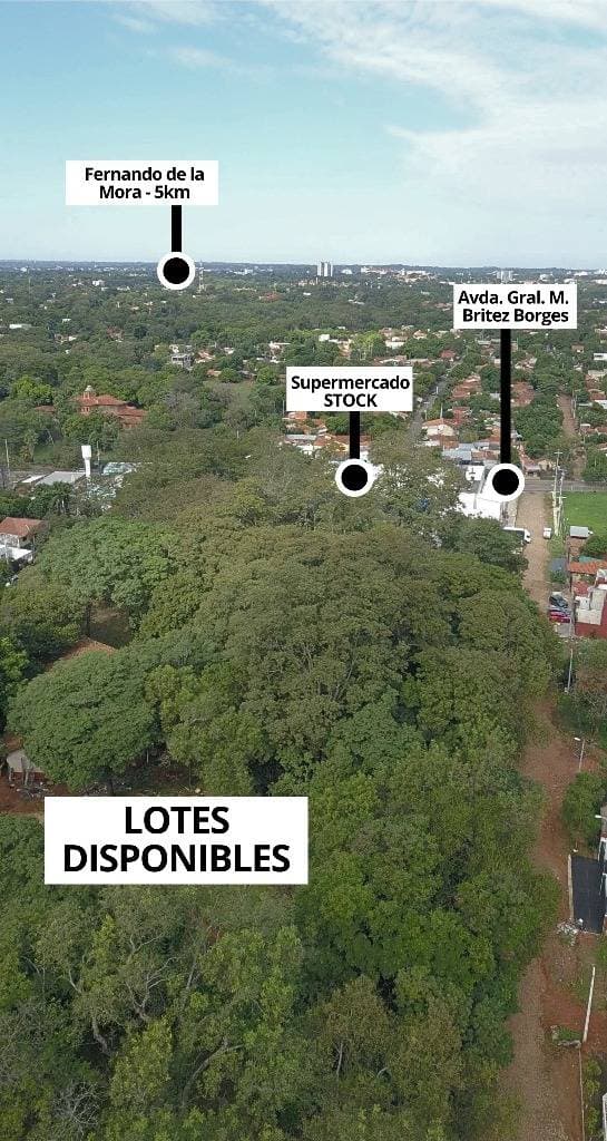 VENDO AMPLIO TERRENO EN LAGUNA GRANDE LUQUE – 2