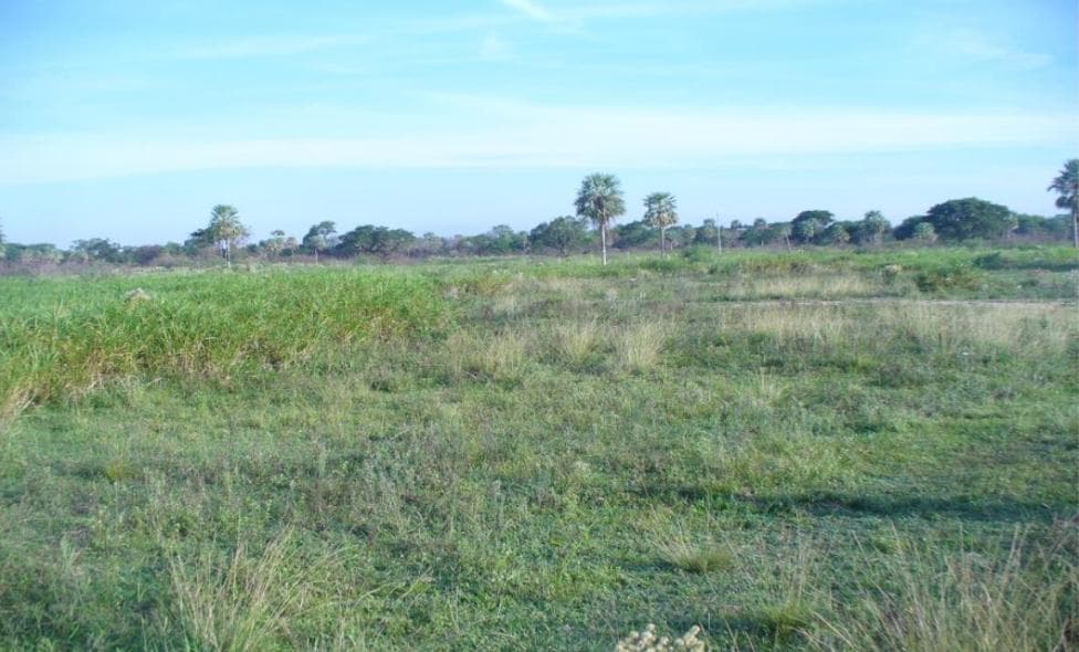 Vendo Propiedad Rural de 3 Lotes, Ubicada en Buey Rodeo, Villeta - CLCS8005532