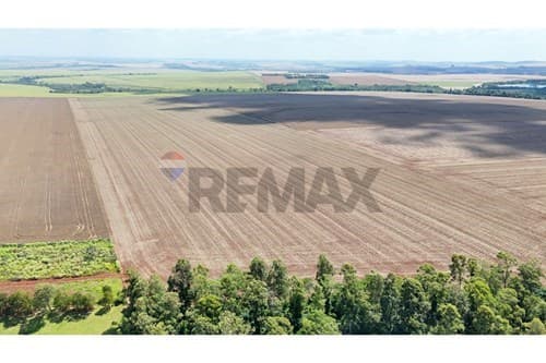 Vendo Terreno de 78 hectáreas en Santa Rita ideal para lotear o industriales – 2