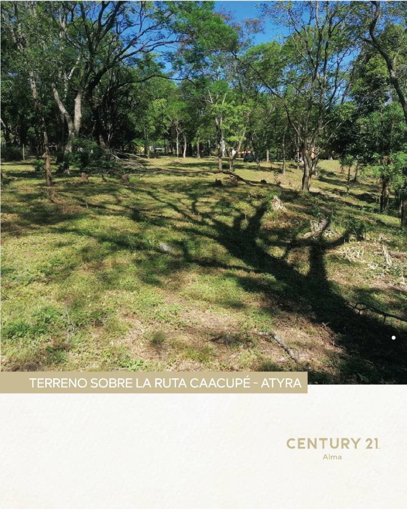 Venta de Estancia/Ganadera en Caacupé, Cordillera