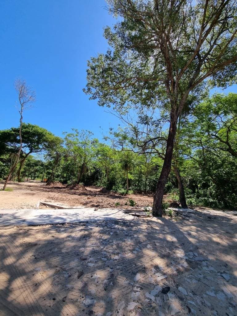 Venta de Terreno en San Bernardino, Cordillera ID:30284 – 3