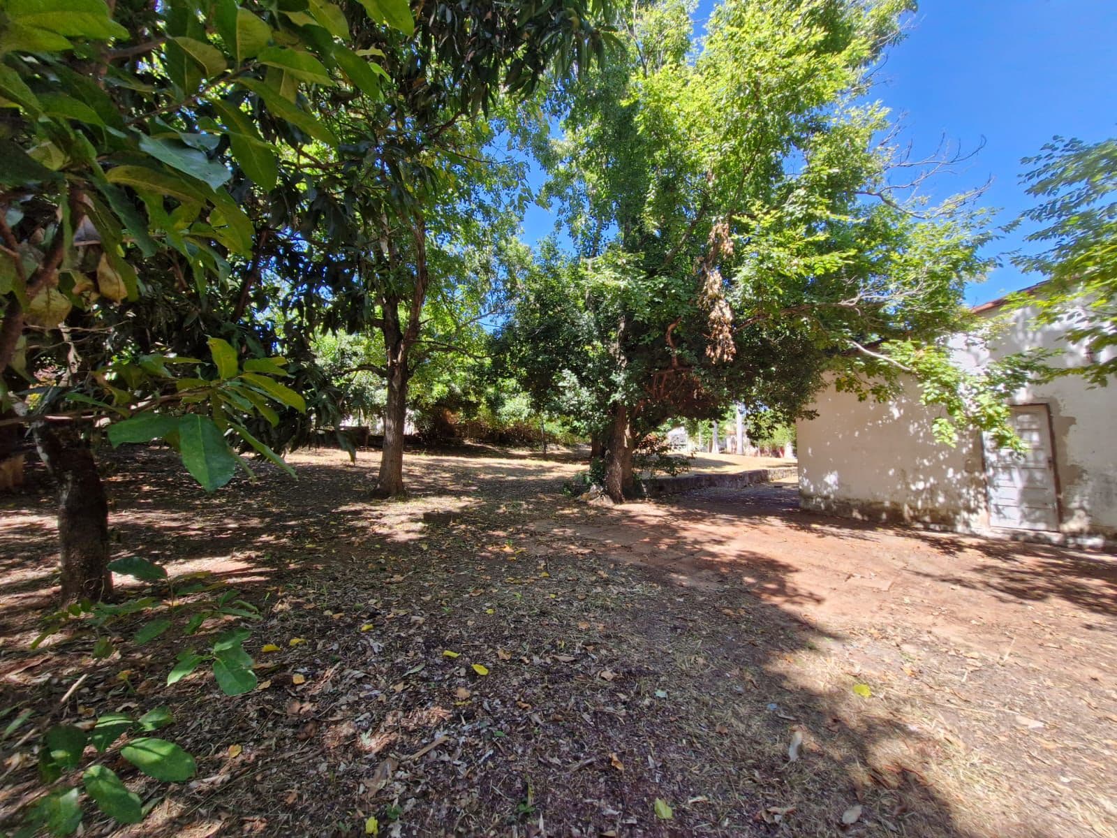 VENDO AMPLIO TERRENO EN PIRIBEBUY – 3