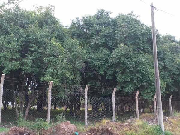 EN VENTA HERMOSA PROPIEDAD DE 18.146 M2 3.057 CM2. SALIDAS A 3 CALLE – 3