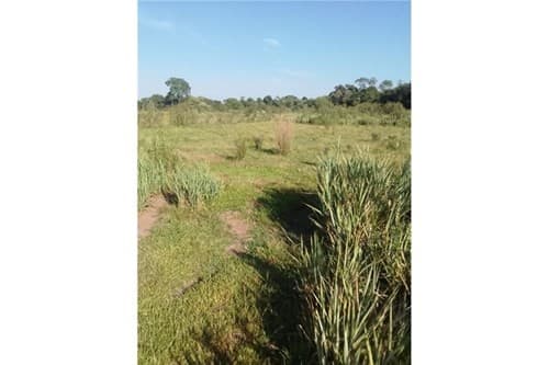 TERRENO DE 62 HECTAREAS EN CORONEL BOGADO – 2