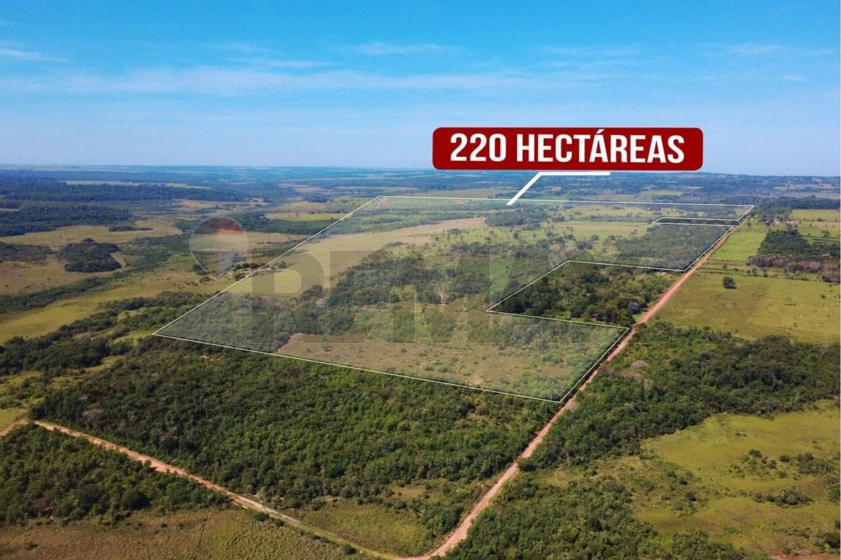 VENDO CAMPO EN SAN PEDRO SAN ESTANISLAO – 2