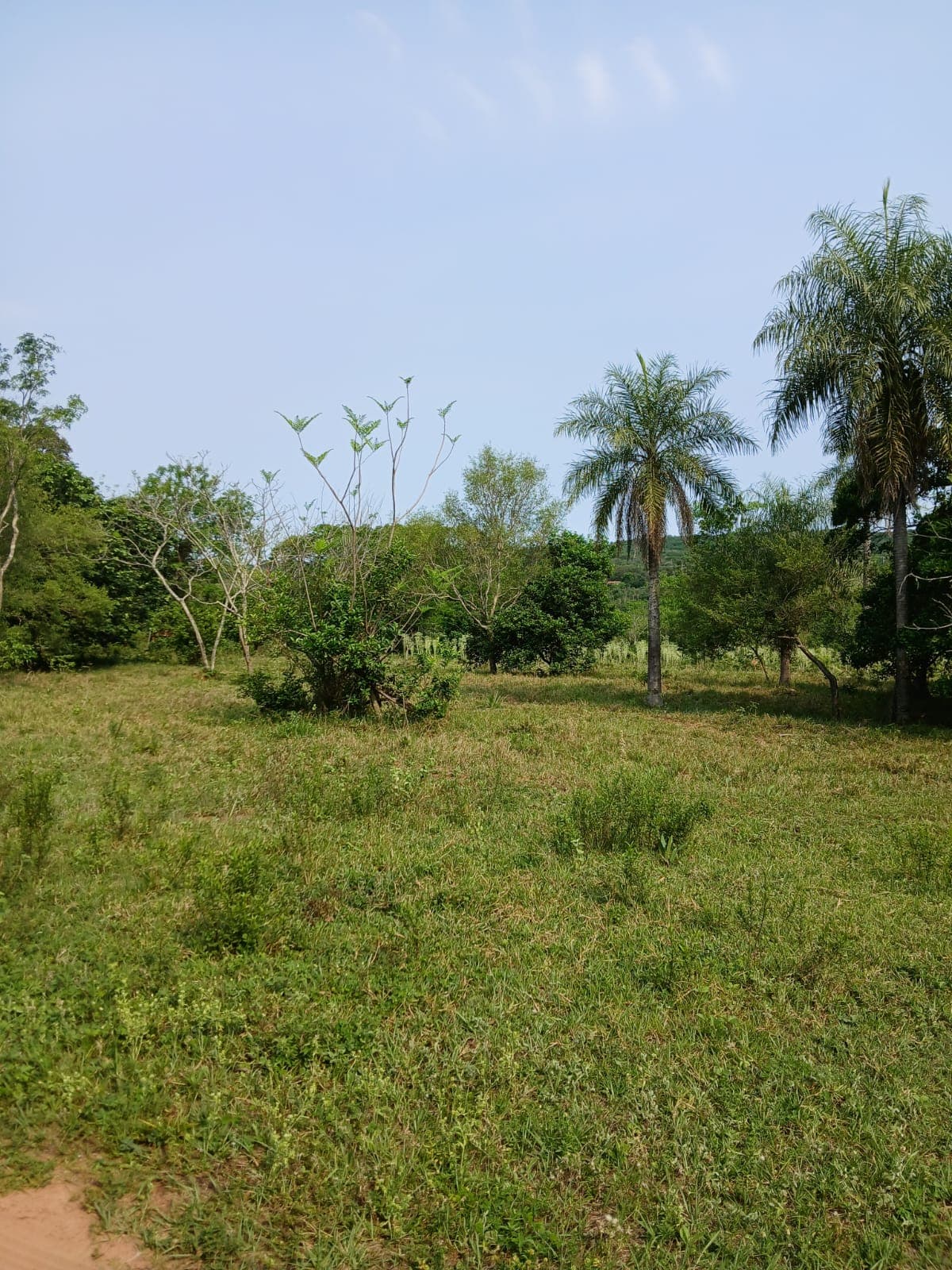 VENDO TERRENO EN LA CIUDAD DE ALTOS – 3
