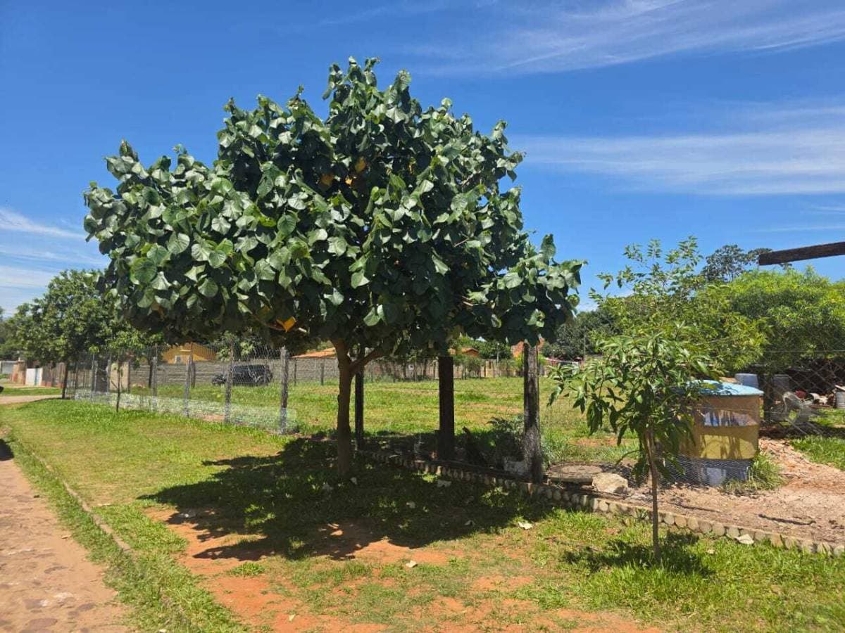 Vendo terreno en luque – 2