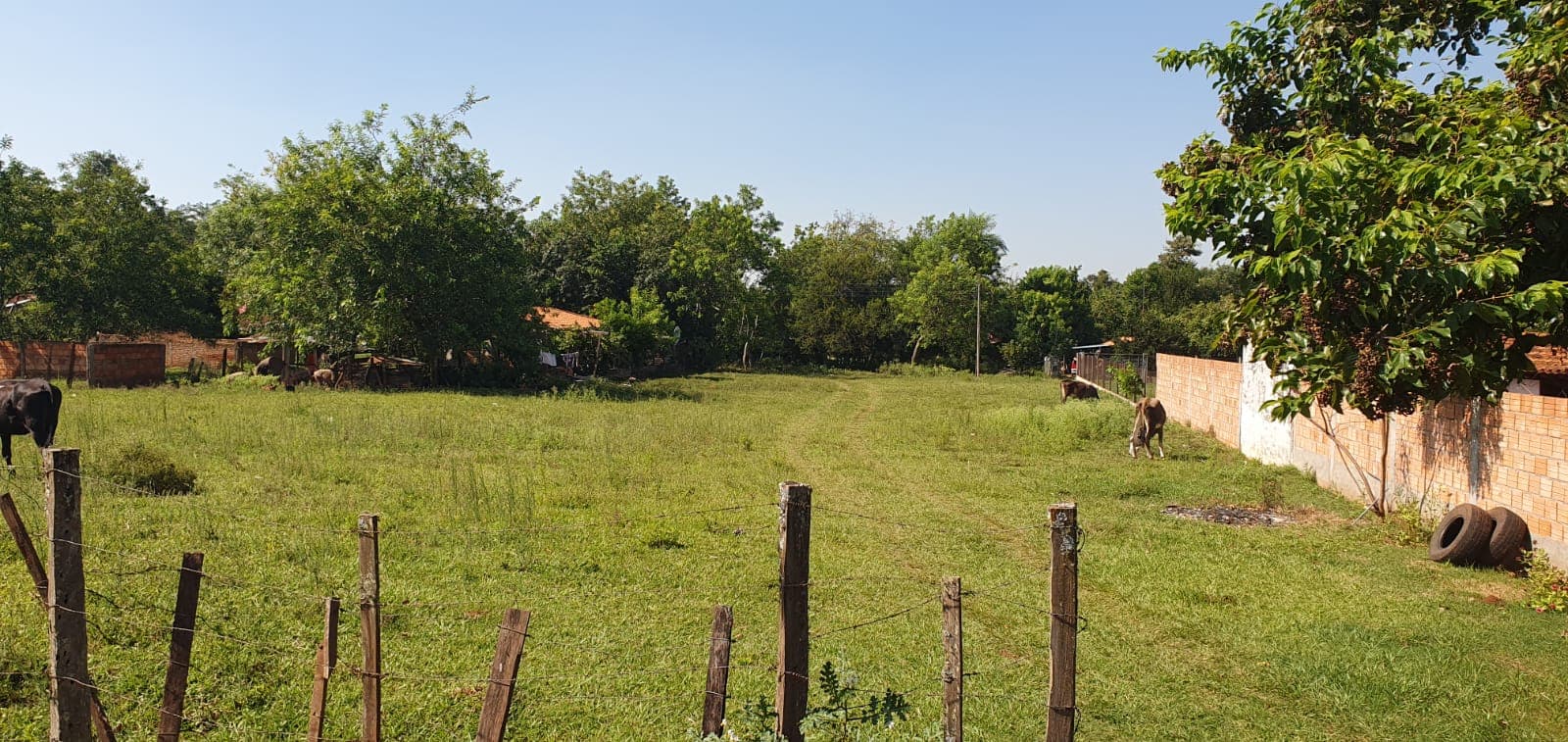 4 Terrenos Sobre Ruta 1 Entre Yaguaron Y Paraguari