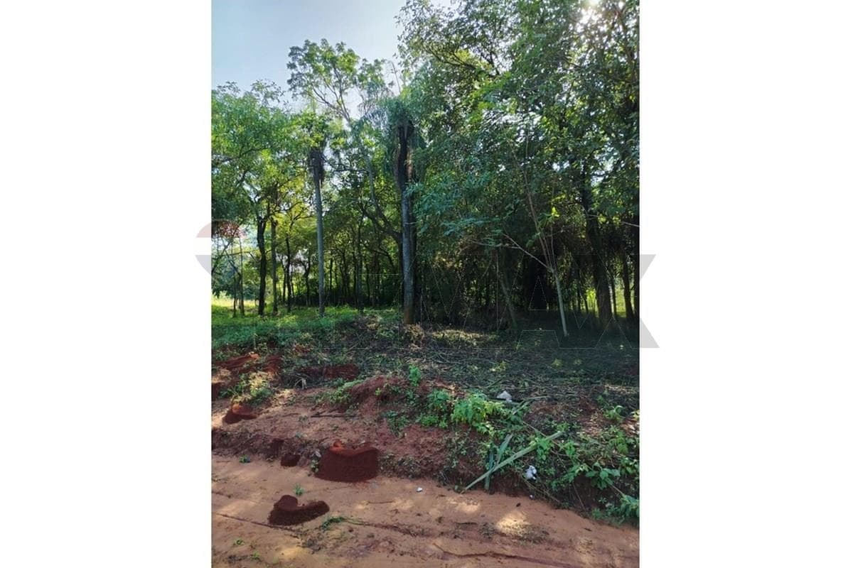 Vendo Terreno de 360 m2 en Zárate Isla, Luque – 2