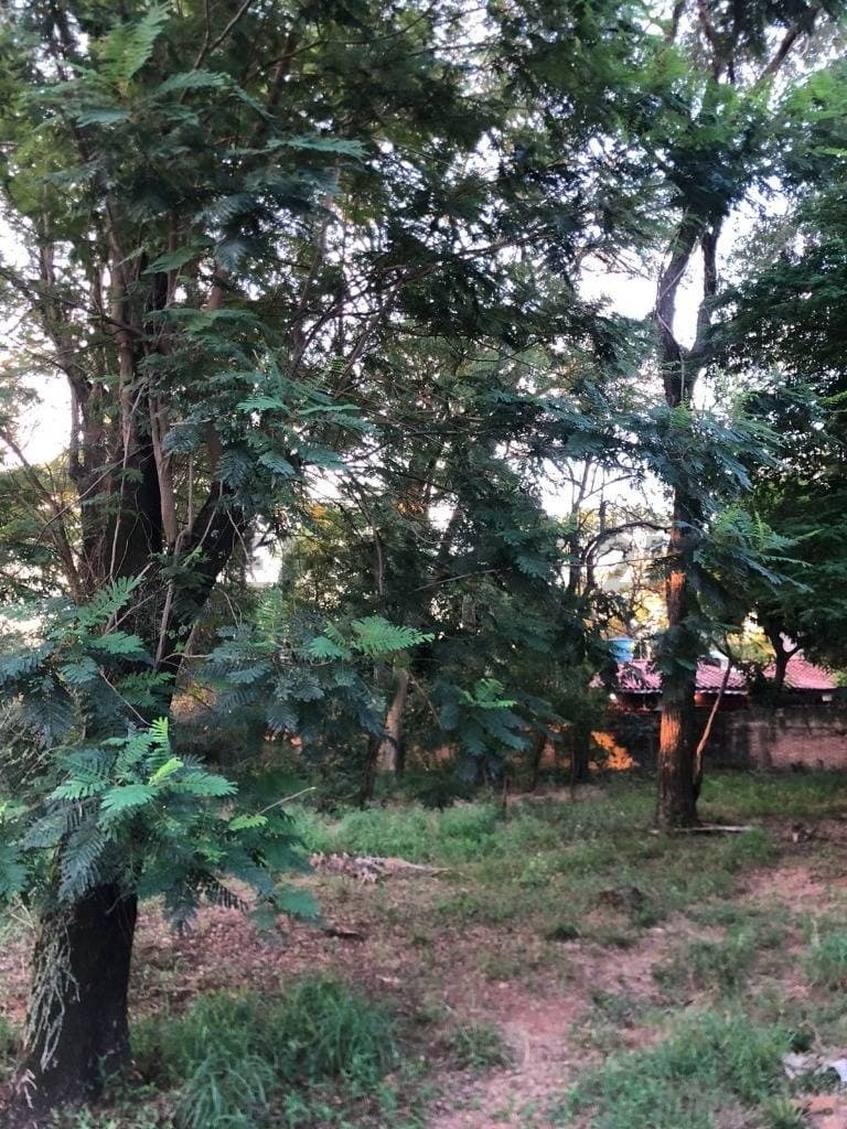 EN VENTA TERRENO EN ZONA ESTRATEGICA DE ASUNCIÓN – 3