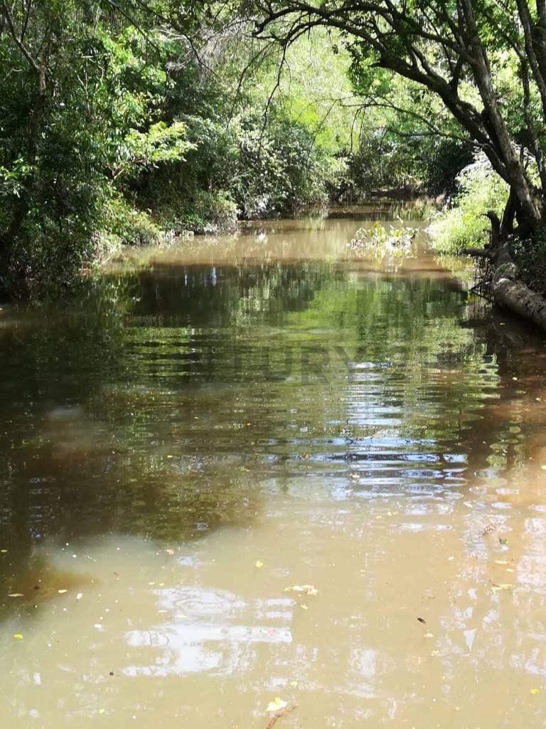 Vendo estancia en Caapucu - Departamento de Paraguarí – 3