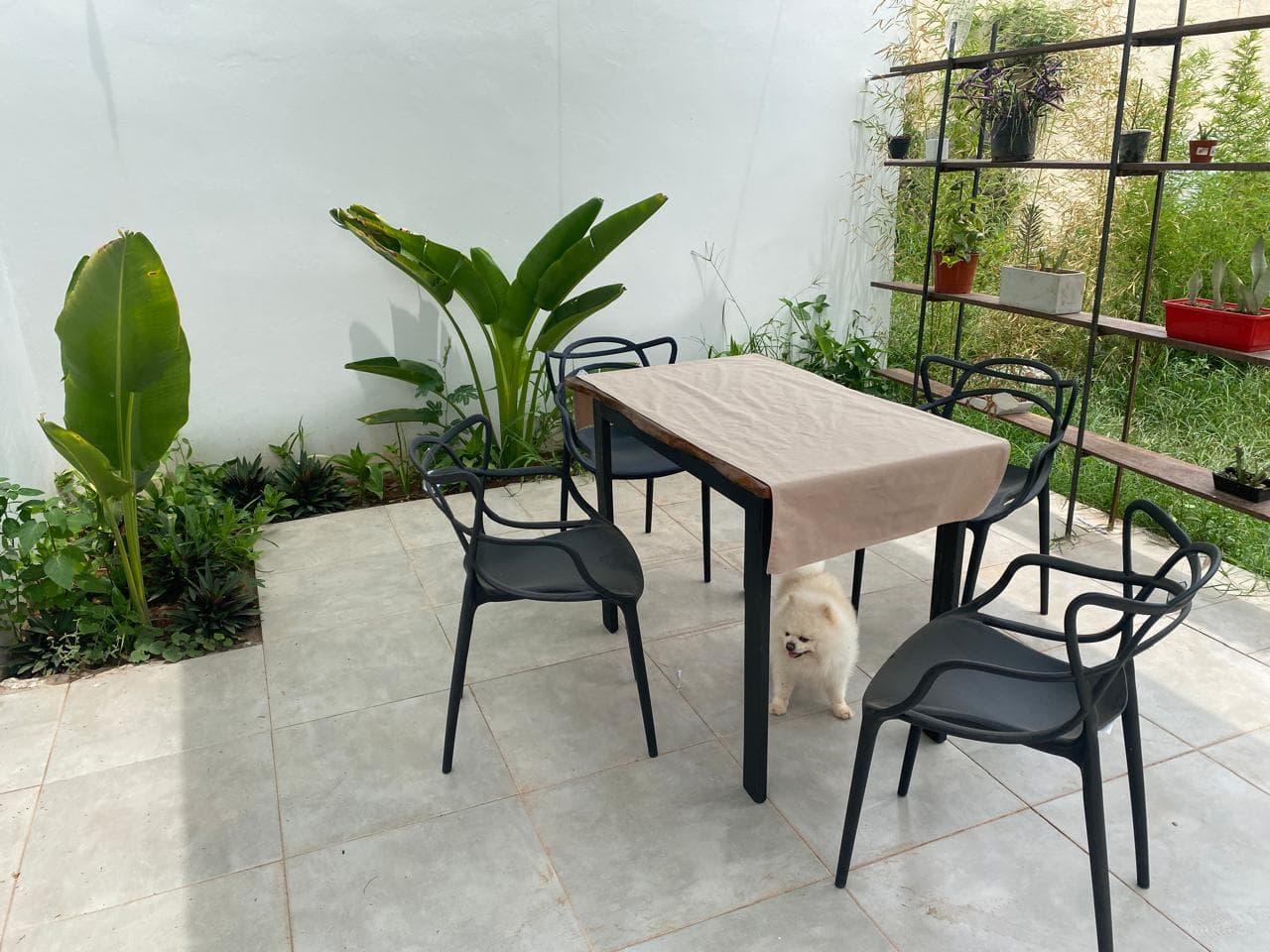 Casa Nueva A Estrenar,exelente Ubicacion Luque – 2