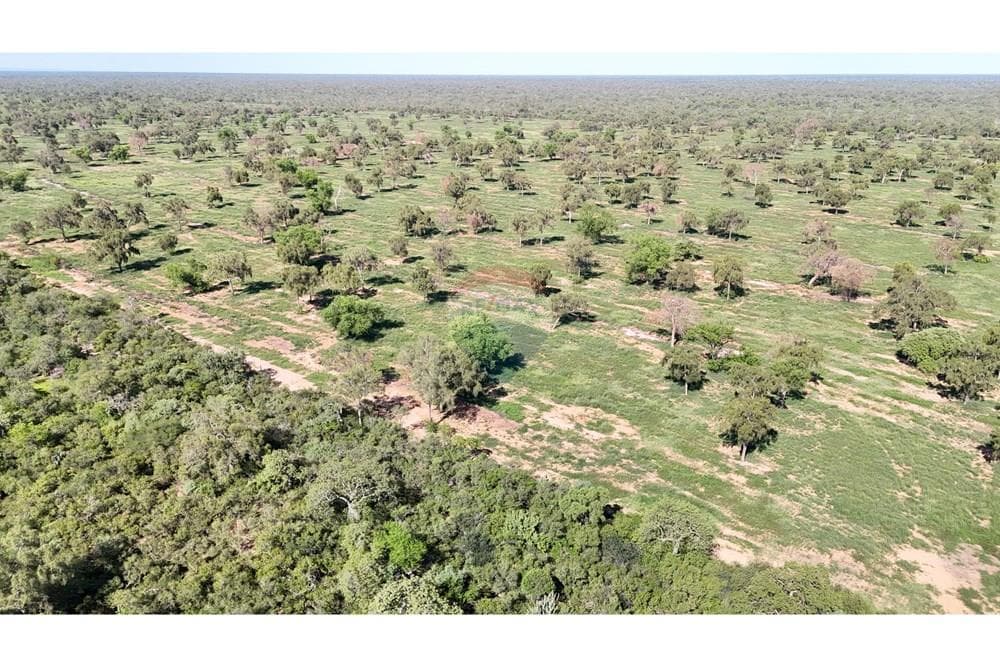 Vendo Campo Desarrollado en Mcal Estigarribia, Boquerón – 3