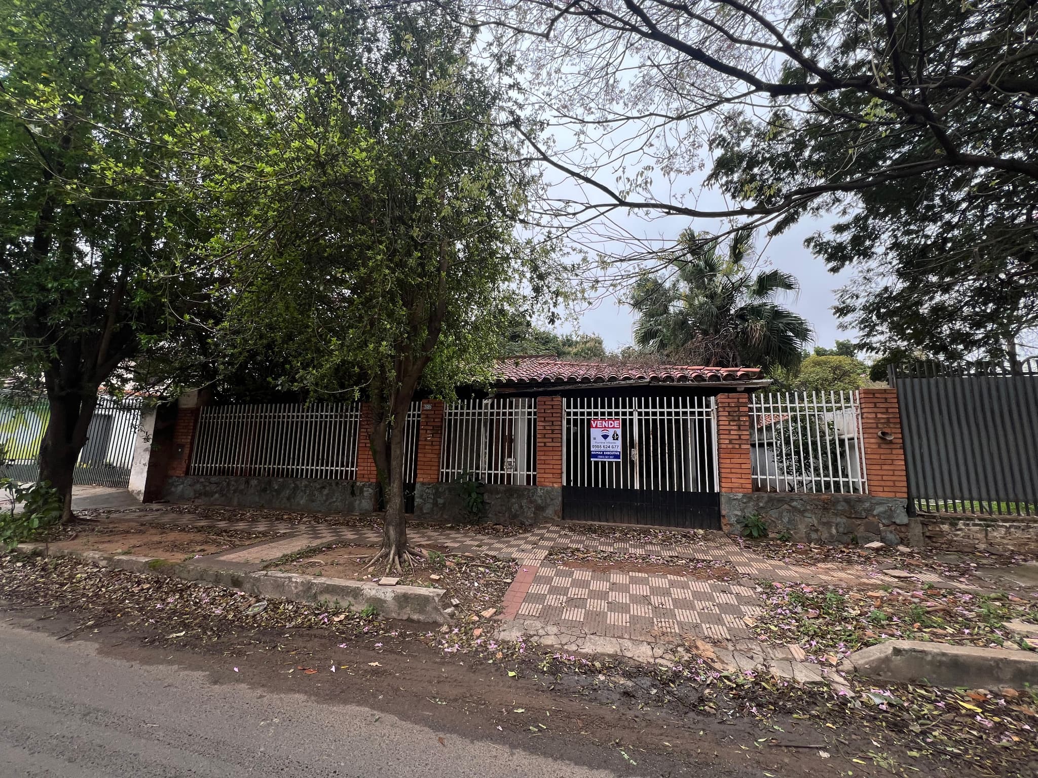 VENDO TERRENO CON CASA A REFACCIONAR O DEMOLER EN HERRERA – 2