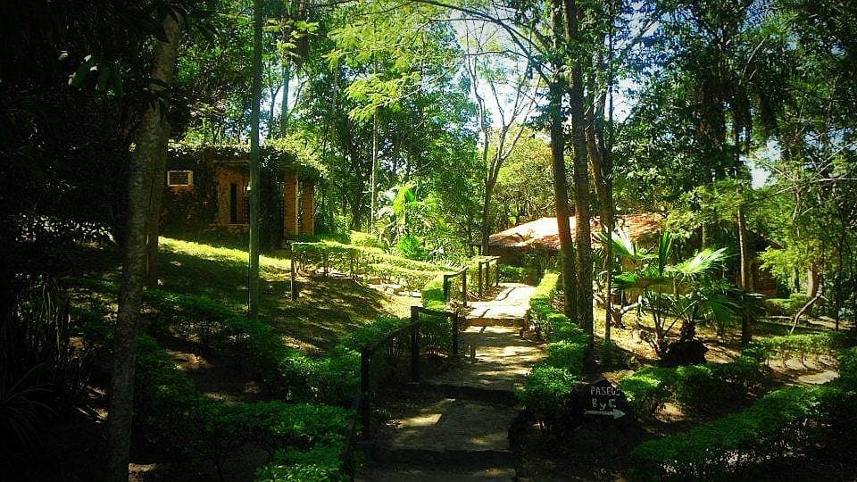 TERRENO - CASA DEL MONTE