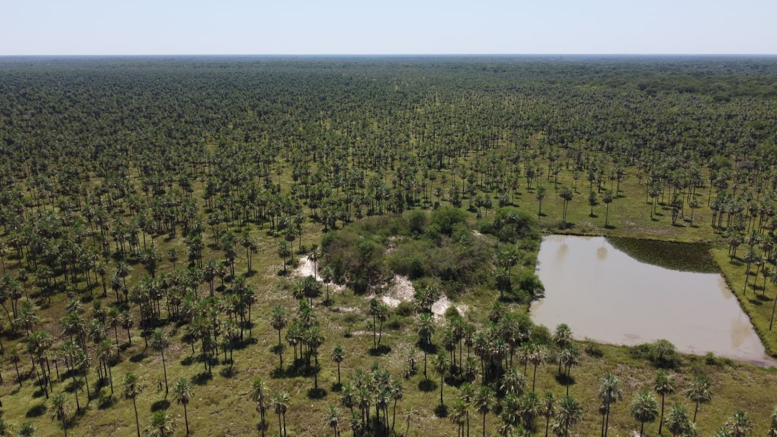 Vendo Estancia Ganadera de 2,895 Hectáreas en Benjamín Aceval – 3