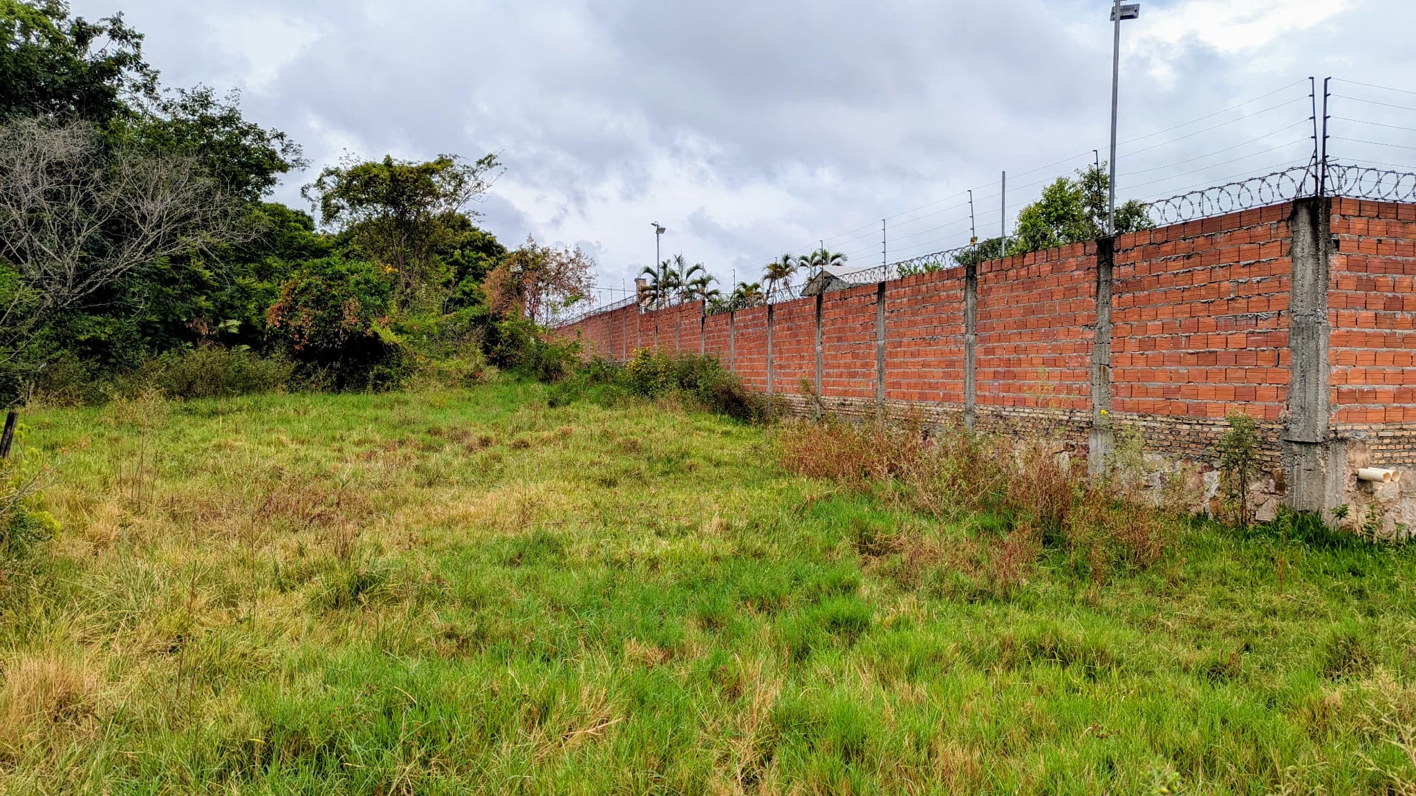 VENDO TERRENO EN MORA KUE - LUQUE – 2