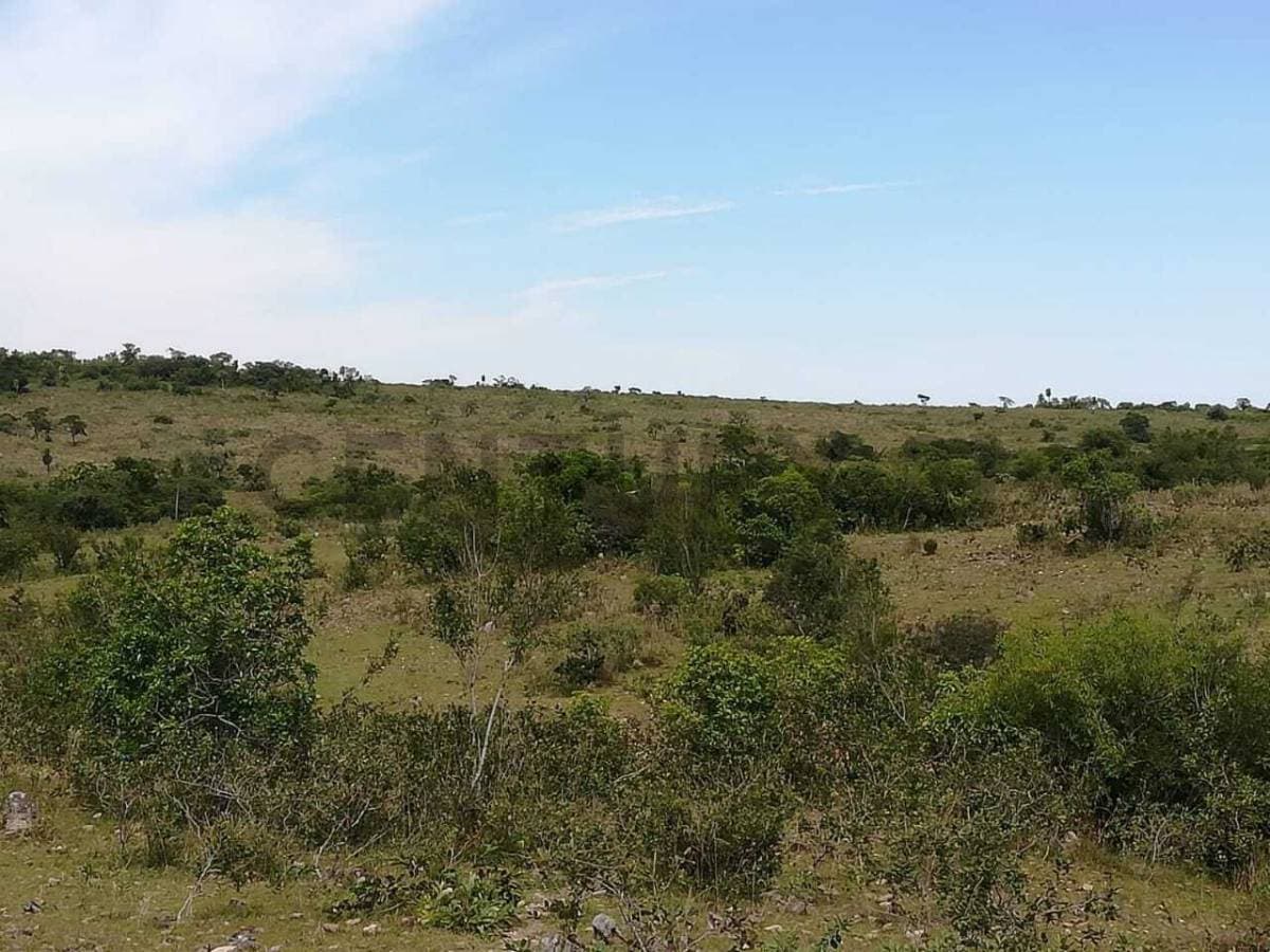 Vendo estancia en Caapucu - Departamento de Paraguarí