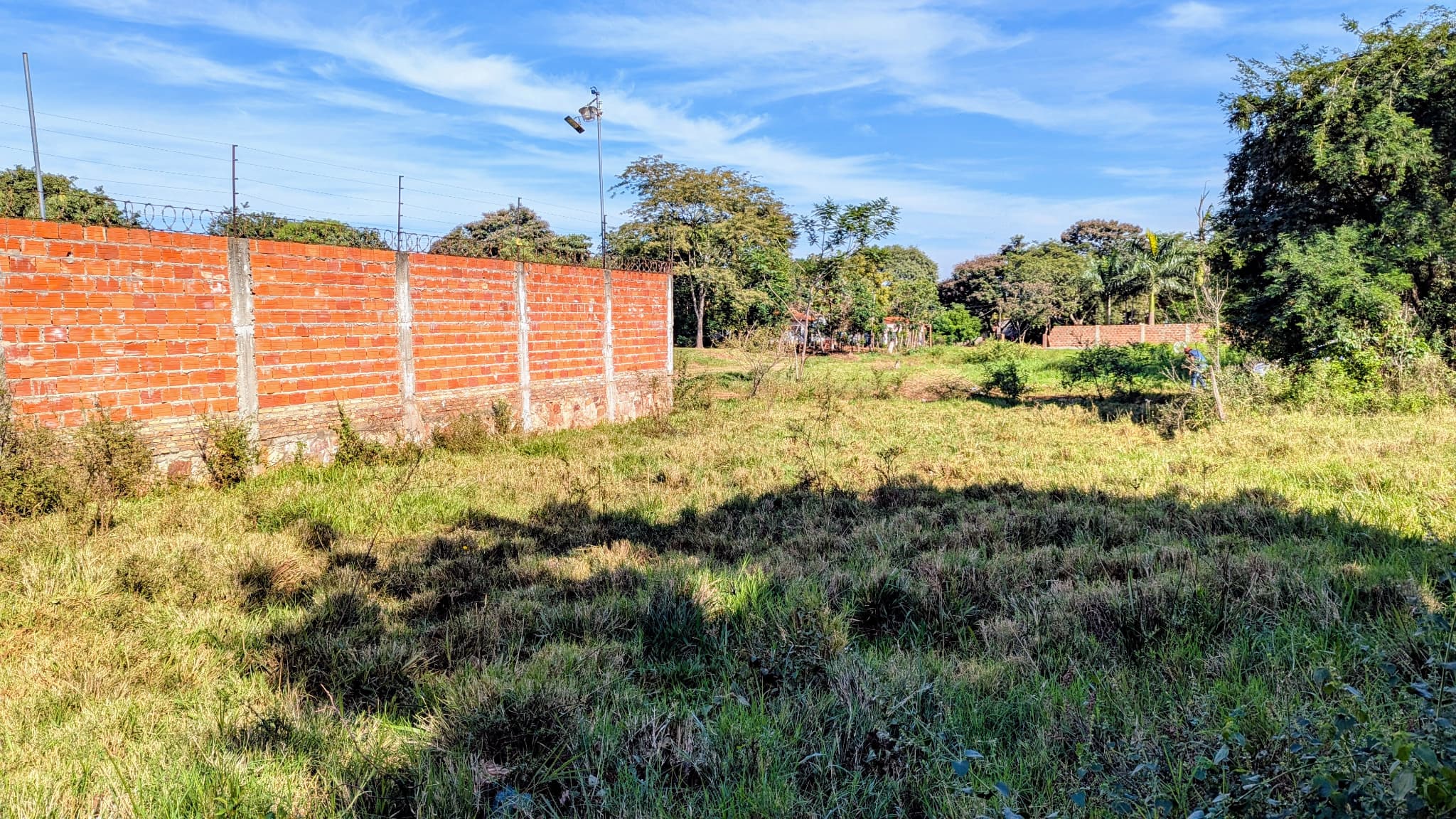 VENDO TERRENO EN MORA KUE - LUQUE – 3