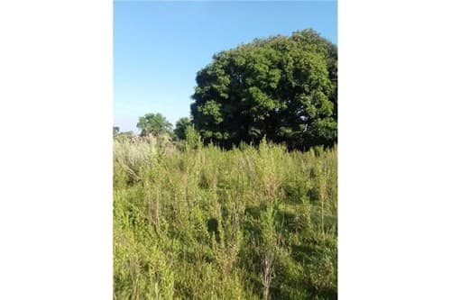TERRENO DE 62 HECTAREAS EN CORONEL BOGADO – 3